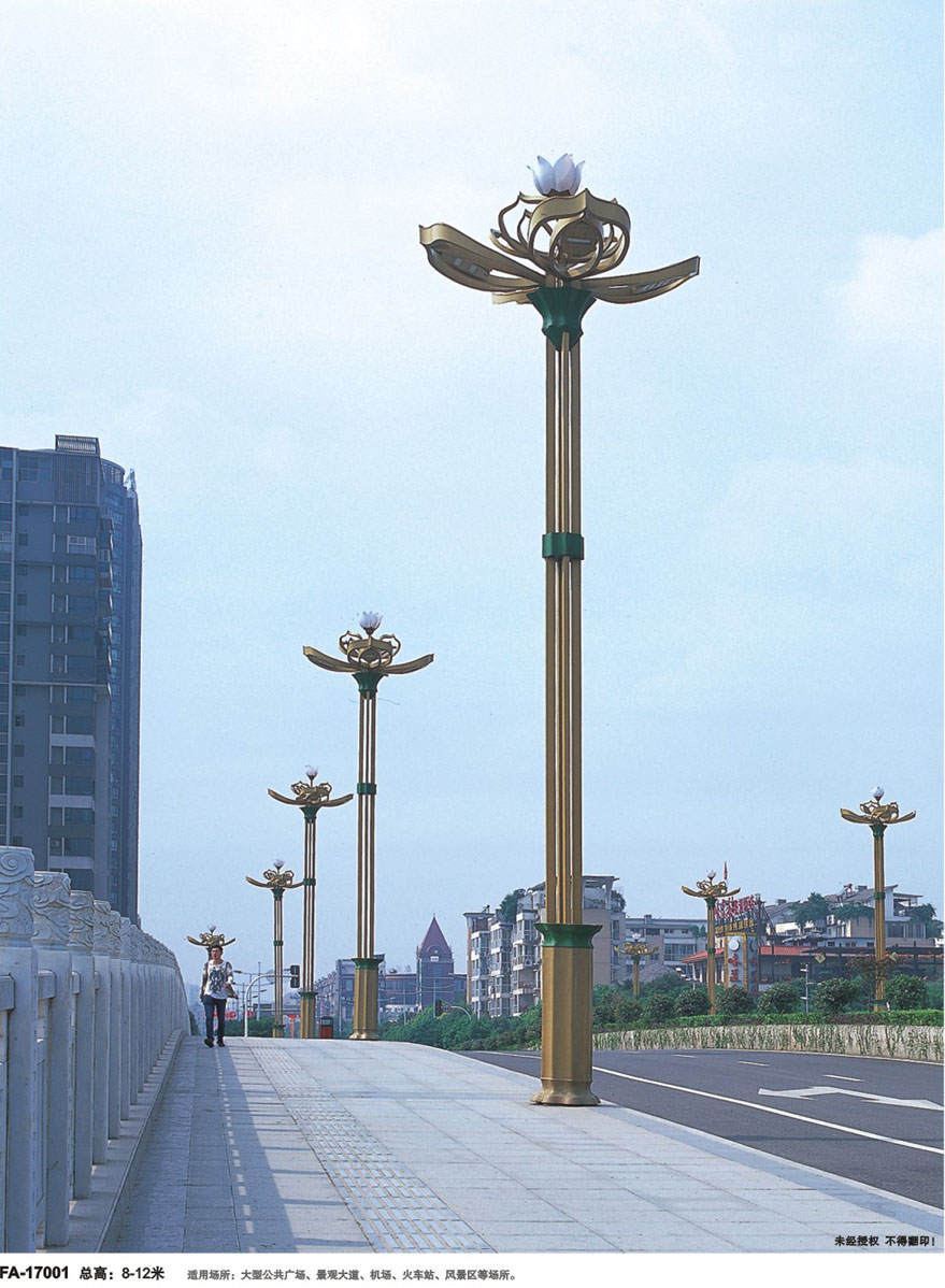 荷花型LED景观道路星空(中国)